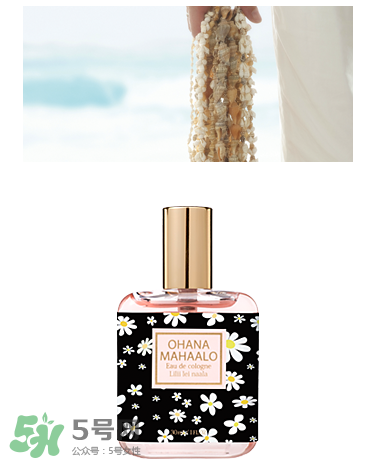 ohana mahaalo��ˮ��ʲô���ӣ�ohana mahaalo������